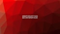 do website vulnerability scan and security report in 24h