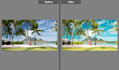 do cull and edit wedding photos in lightroom
