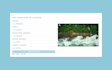 develop custom web app development java, python, node js, django, flask