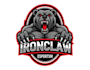 create stunning bear mascot logo with unique style