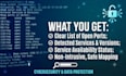 run an external port scan and network audit