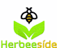 create professional embroidery digitizing files