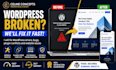 fix wordpress errors, bugs, plugin conflicts, and website issues
