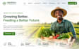 design squarespace agribusiness website wix agriculture farm produce website