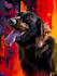 draw amazing abstract pet illustration