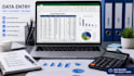 deliver professional data entry with guaranteed accuracy