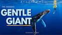 design cinematic documentry thumbnail for youtube