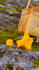 create 3d designs for rendering and 3d models