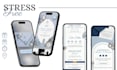 create an interactive digital 15th birthday invitation