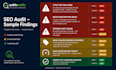 do a complete SEO audit with PDF report for small businesses
