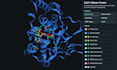 provide predicted structures of protein ligand complexes html pdb
