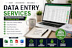 do fast data entry, copy paste, excel and google sheets