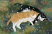 make a digital illustration of your pet