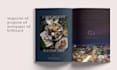 design a professional flyer, leaflet, or poster