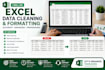 microsoft excel data cleaning and formatting