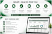 create and format professional microsoft excel spreadsheets