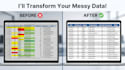 clean, organise and analyse your excel data professionally