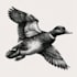 create a black and white pen and ink illustration