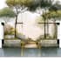 create a landscape site plan and design