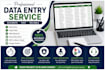 do accurate data entry copy paste web research and excel data entry