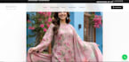 develop a professional responsive ecommerce website