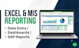 create professional excel reports and mis dashboards