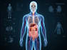 create ai powered medical 3d animation 3d anatomy visualization explainer video