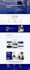 create a stunning wordpress showcase website for your business