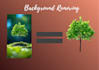 professionally remove and retouch background