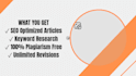 write SEO optimized blog article in english and bangla