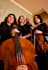 provide professional photo shoot in sicily