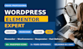 design a responsive wordpress website or redesign your web