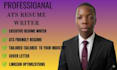 do professional resume, cover letter, linkedin optimization