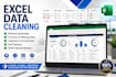 excel data cleaning, formatting and organization
