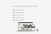 create a professional shopify store optimized for sales