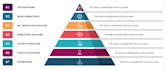 focus mentorship in proactive business consulting