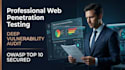 do web penetration testing and vulnerability assessment