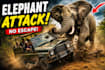 create clickable animal attack you tube thumbnails