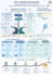 design a professional infographic, poster, or educational visual
