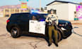 add police vehicles packs to your fivepd server