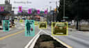 do bounding box and semantic segmentation annotation