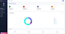develop a custom web application