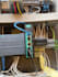 fix and program your plc scada systems