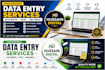 do accurate data entry, excel data typing and web research