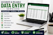do accurate data entry, excel data entry