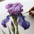 illustrate best botanical illustration