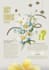 do infographic and poster design