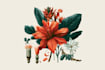illustrate best botanical illustration