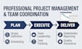 provide expert project management services