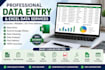 do data entry, data comparison, and excel data analysis